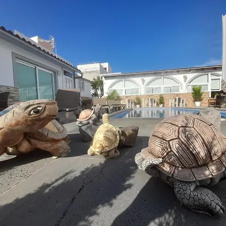 Appartement Tenerife Little Village *